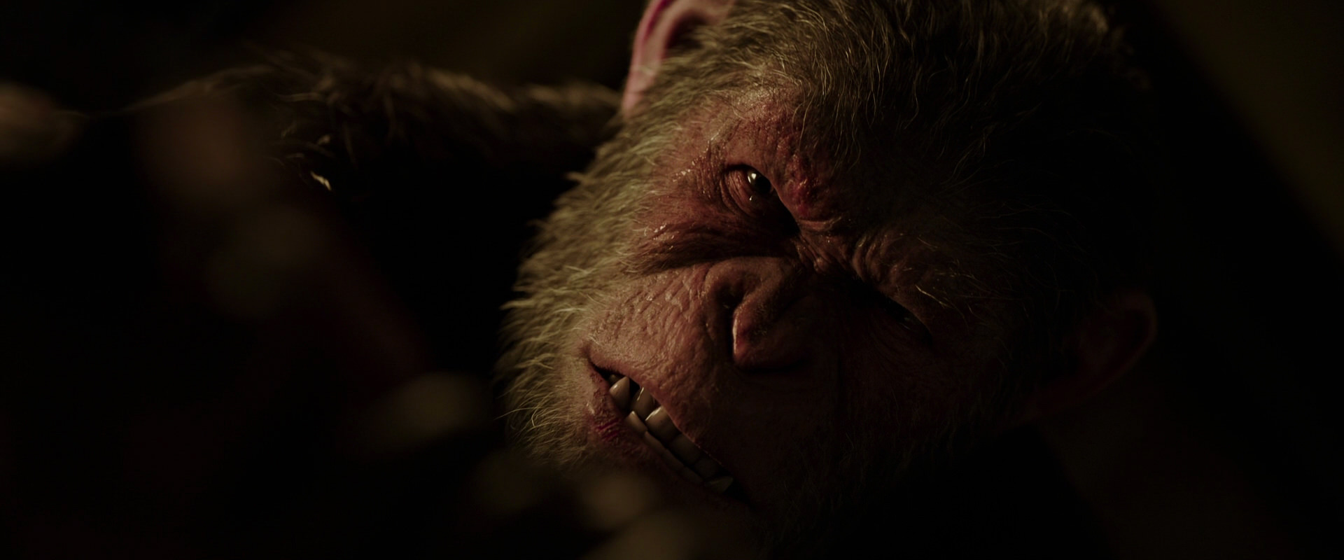 War for the Planet of the Apes (2017) movie still 13732