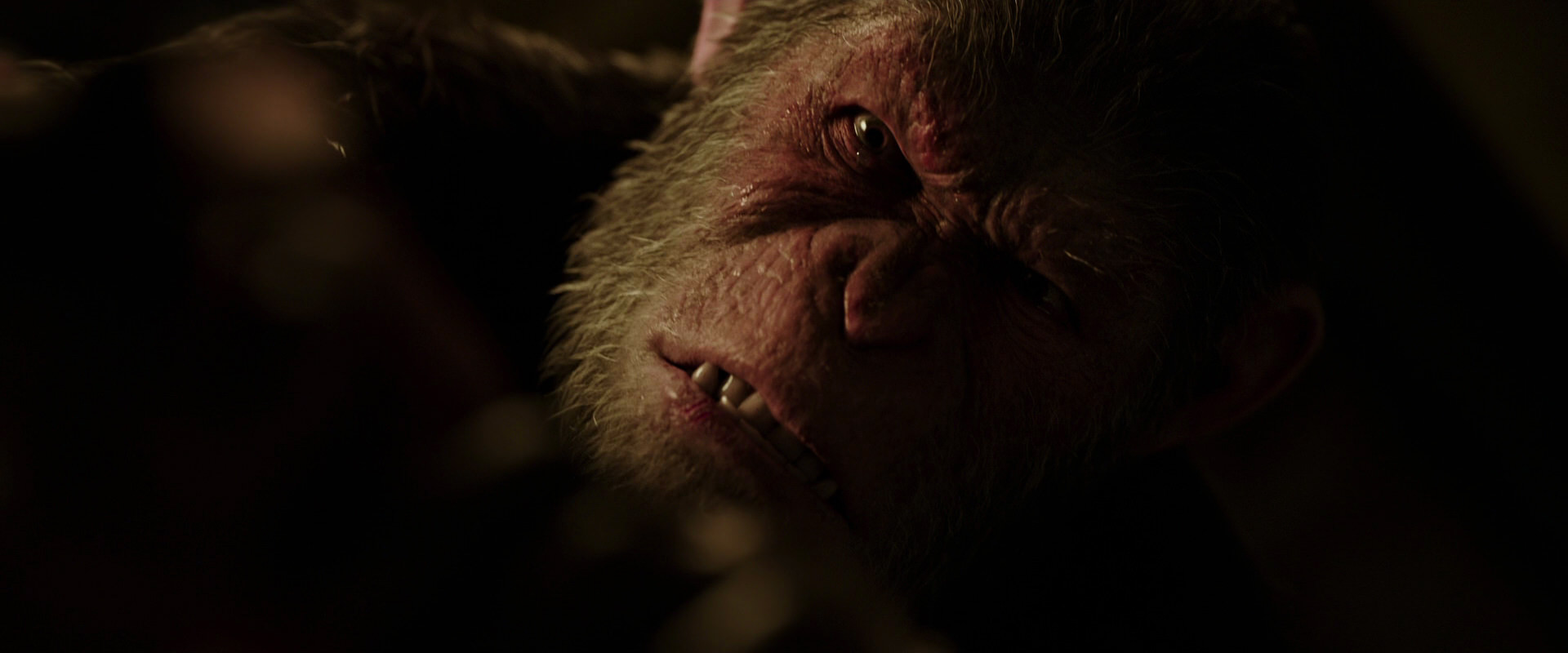 War for the Planet of the Apes (2017) screencap 13734