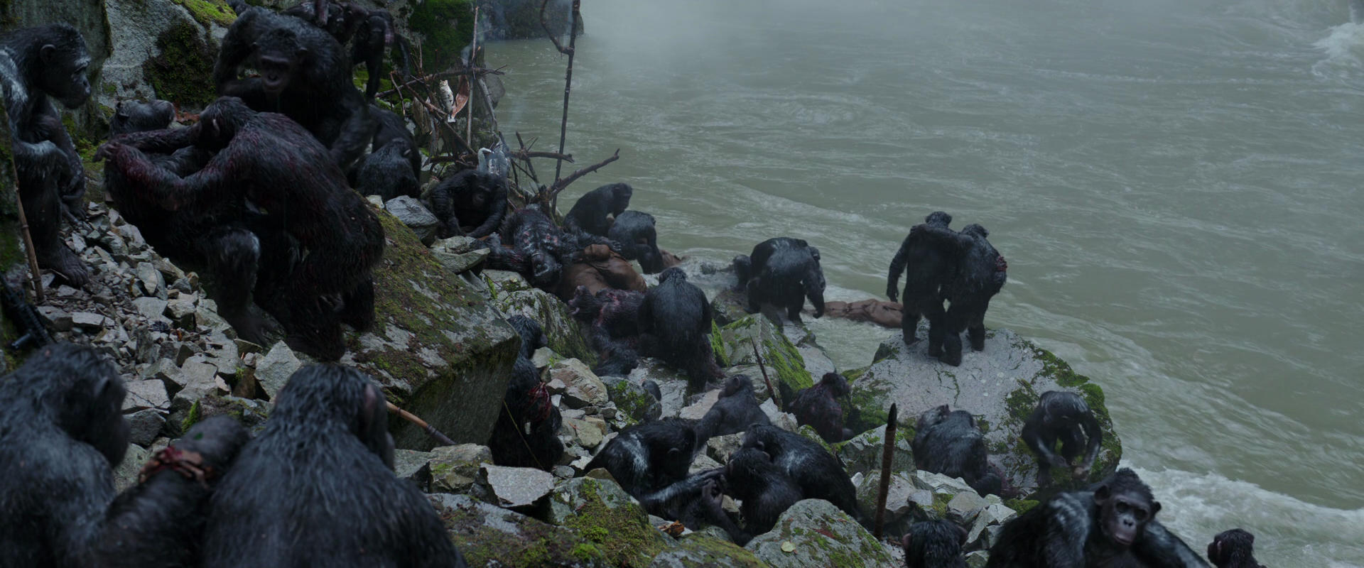 War for the Planet of the Apes (2017) screencap 1374