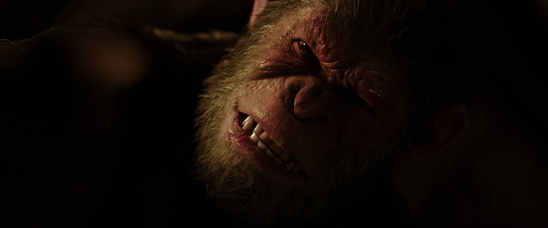 War for the Planet of the Apes (2017) screencap 13743