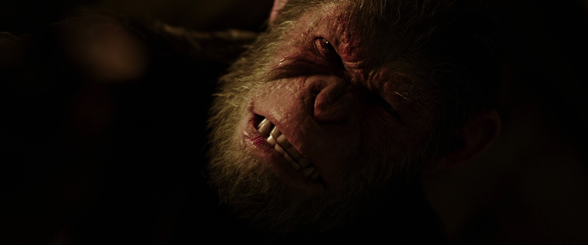War for the Planet of the Apes (2017) screencap 13746
