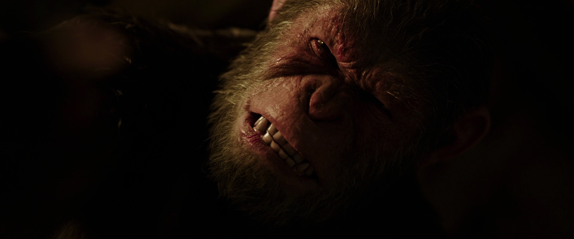 War for the Planet of the Apes (2017) screencap 13749