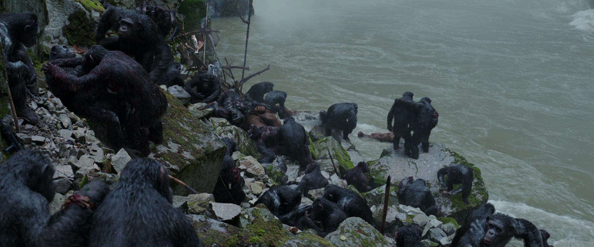 War for the Planet of the Apes (2017) movie still 1375