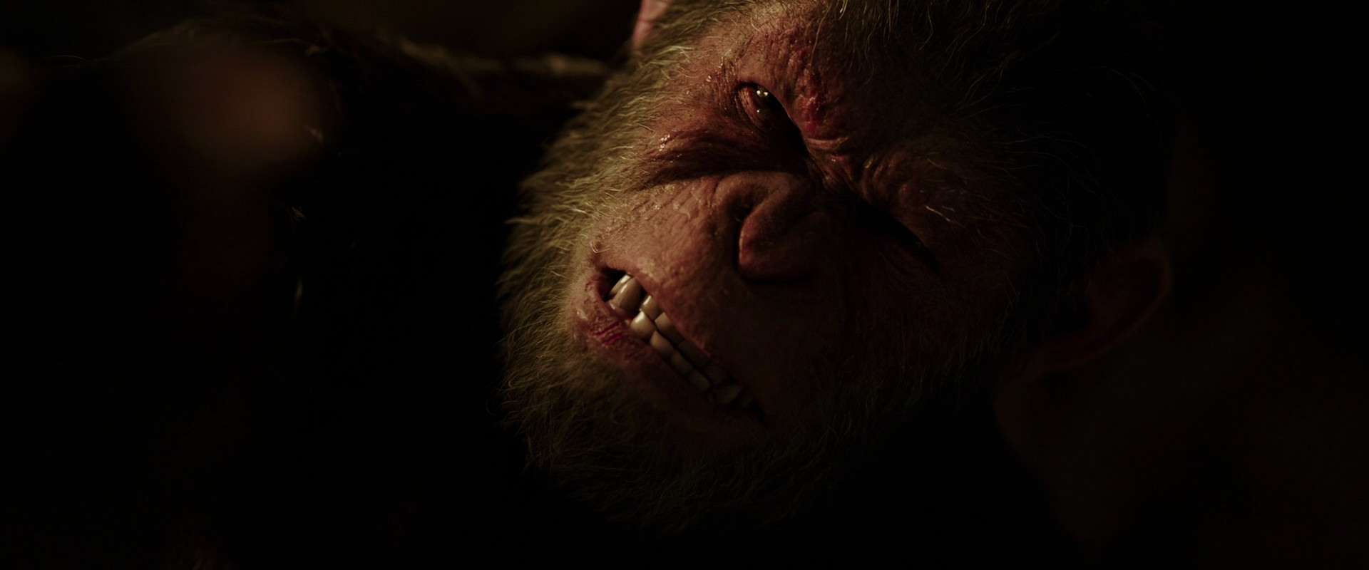 War for the Planet of the Apes (2017) screencap 13755