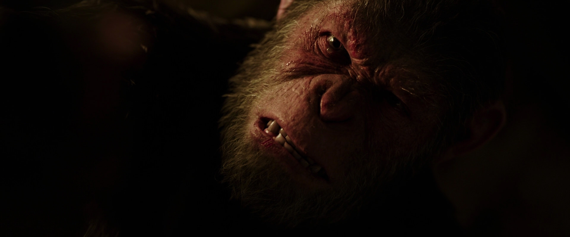 War for the Planet of the Apes (2017) movie still 13762