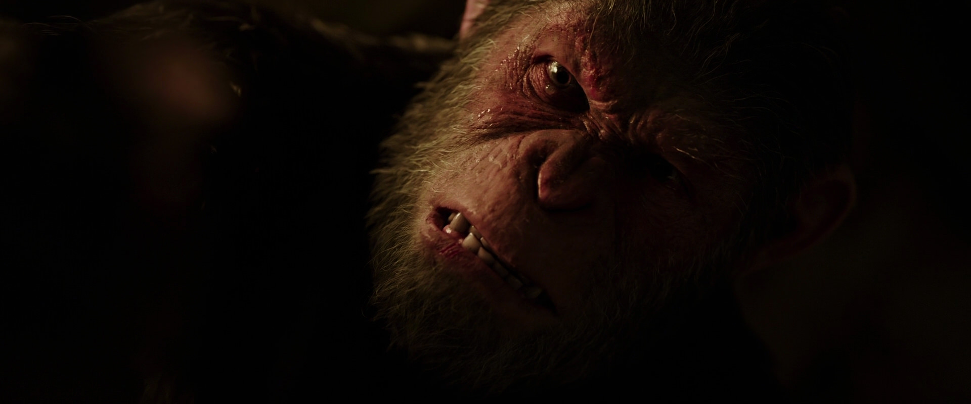 War for the Planet of the Apes (2017) movie still 13765