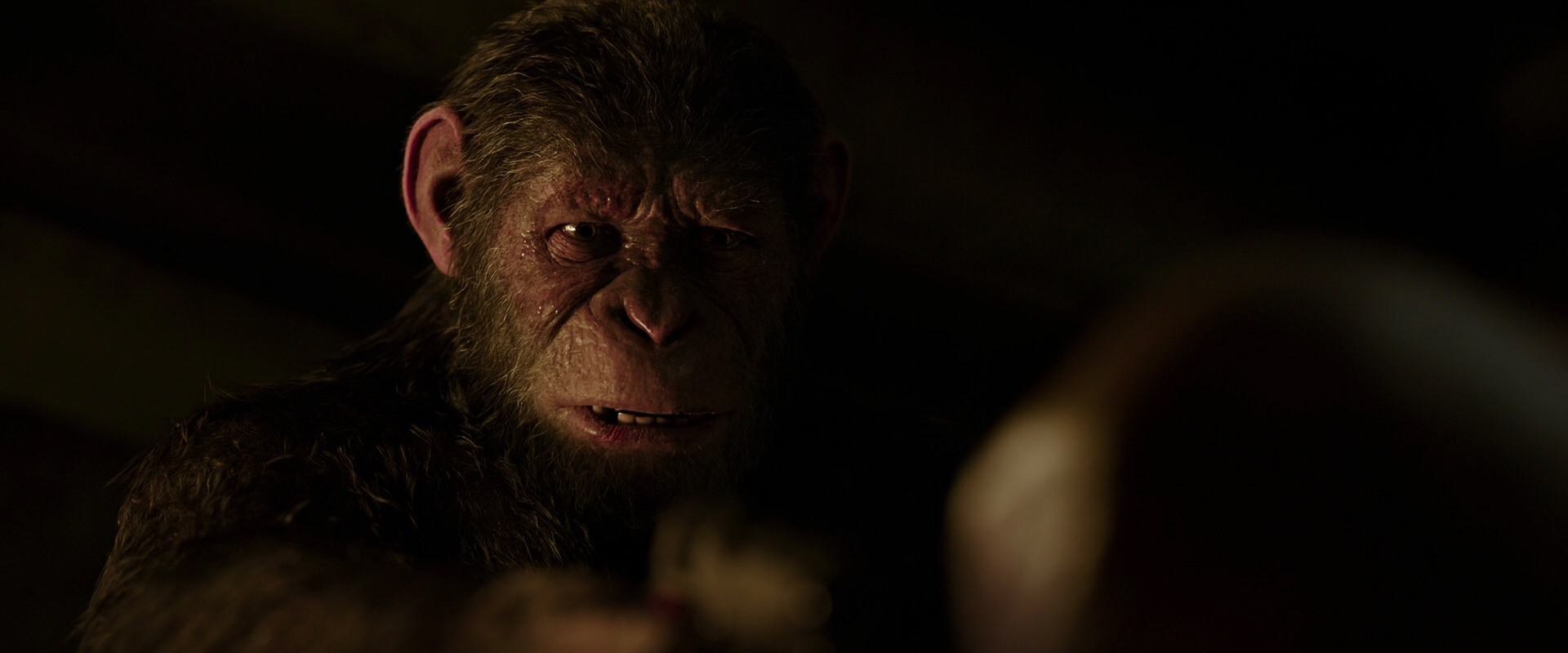 War for the Planet of the Apes (2017) screencap 13779