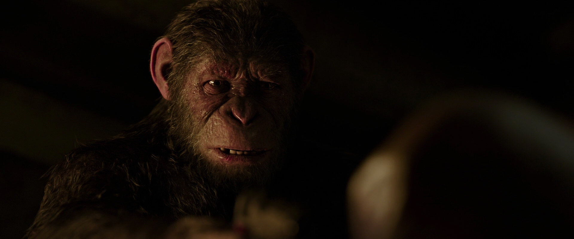 War for the Planet of the Apes (2017) screencap 13782