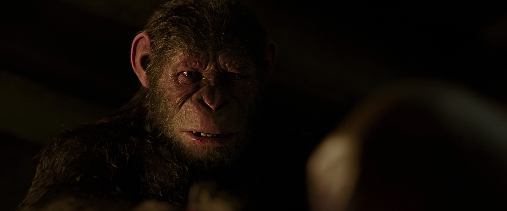 War for the Planet of the Apes (2017) movie still 13783