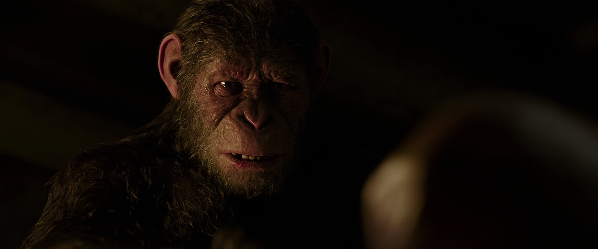 War for the Planet of the Apes (2017) screencap 13785