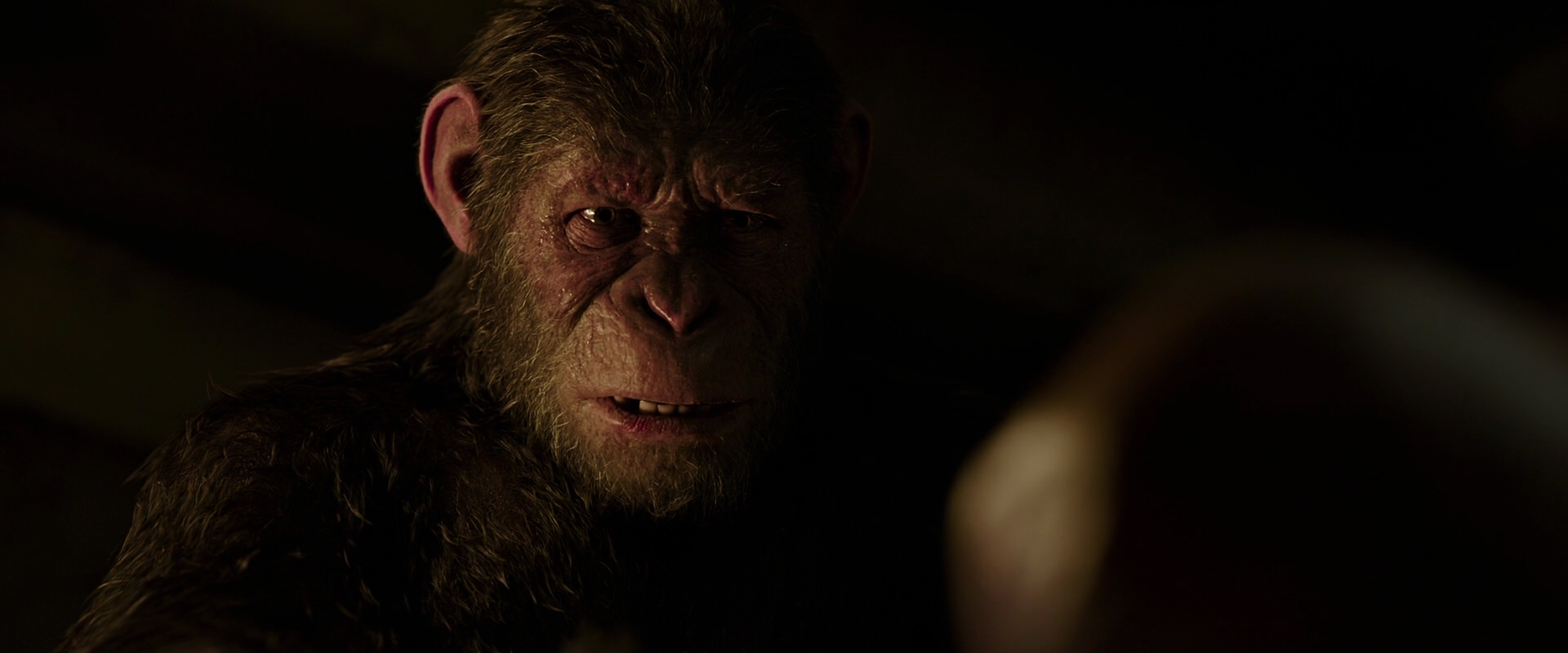 War for the Planet of the Apes (2017) movie still 13786