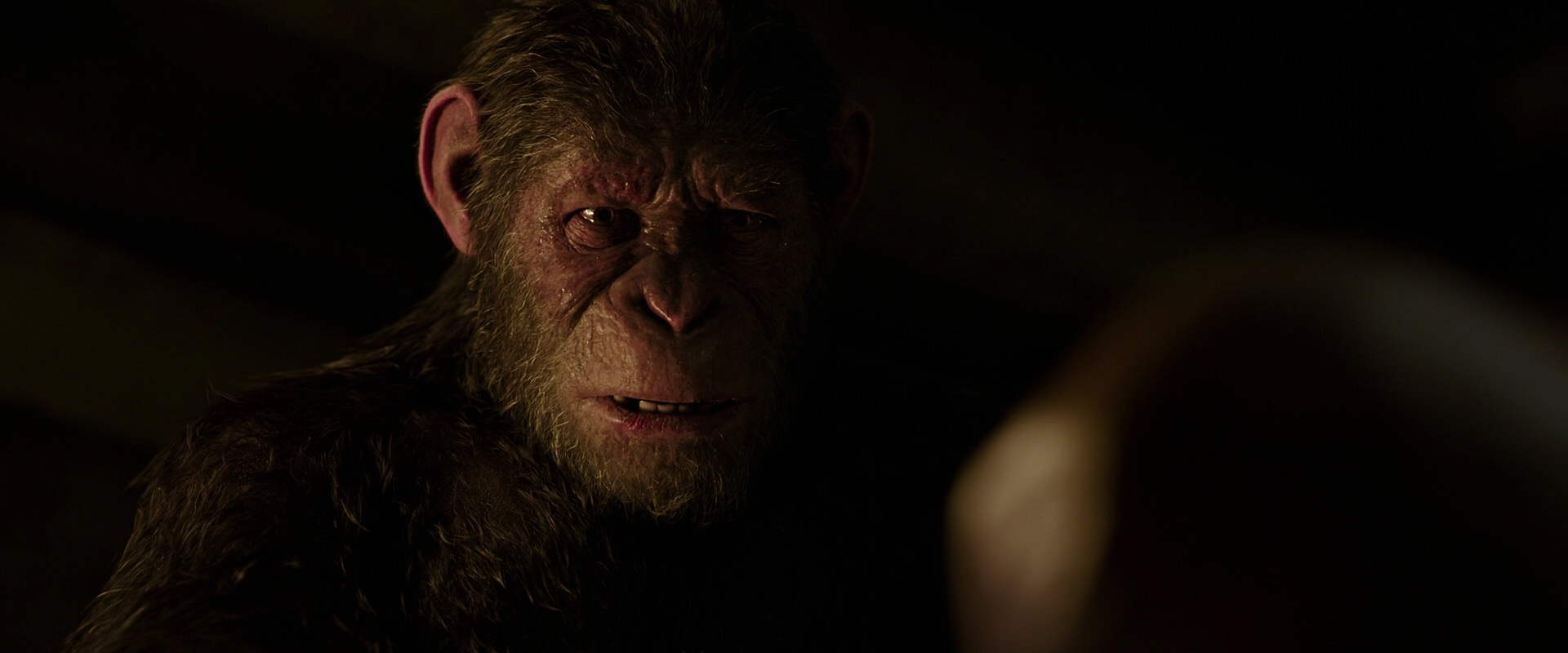 War for the Planet of the Apes (2017) HD screenshot 13787