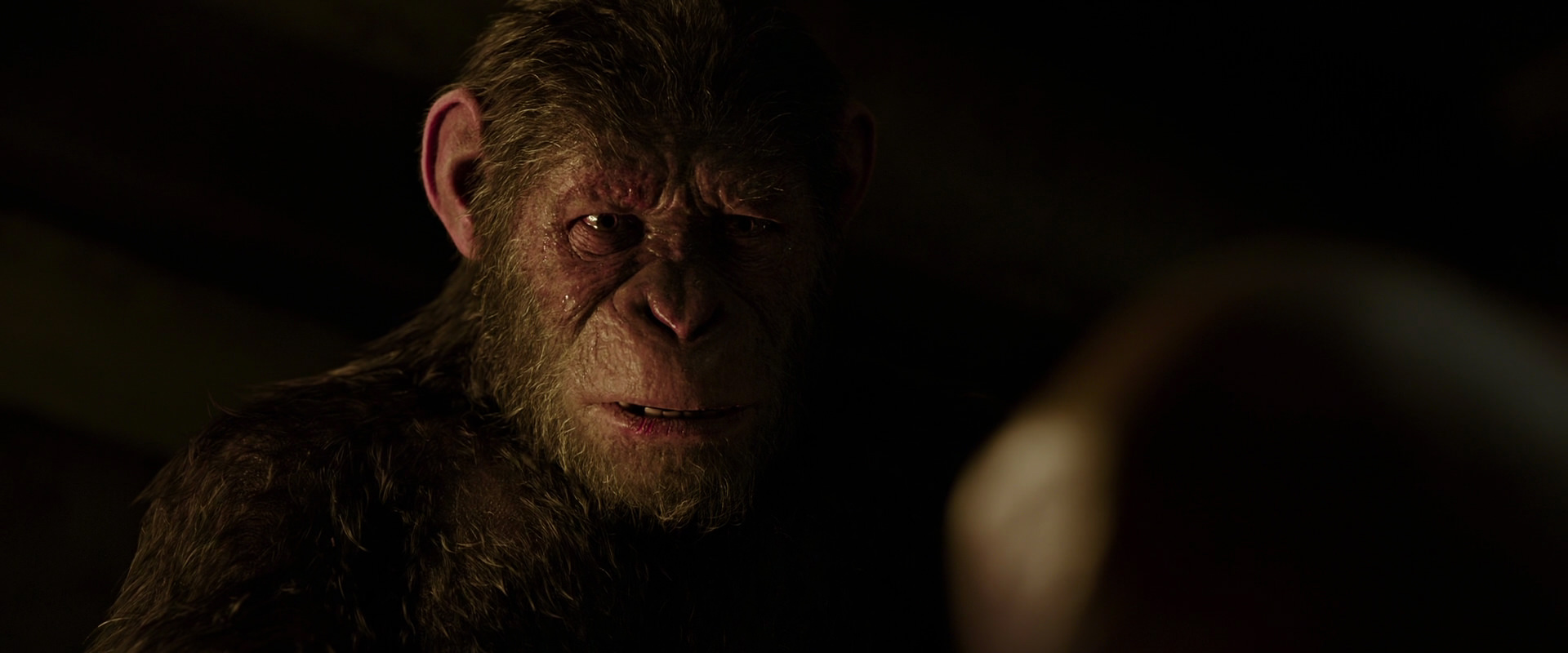War for the Planet of the Apes (2017) movie still 13789