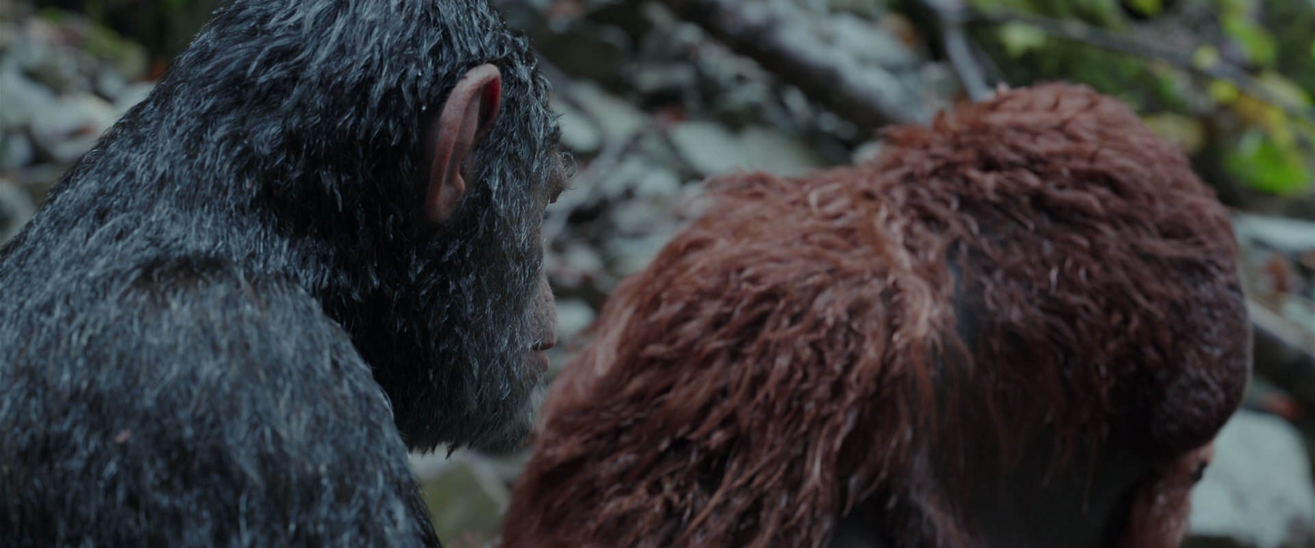 War for the Planet of the Apes (2017) HD screenshot 1379