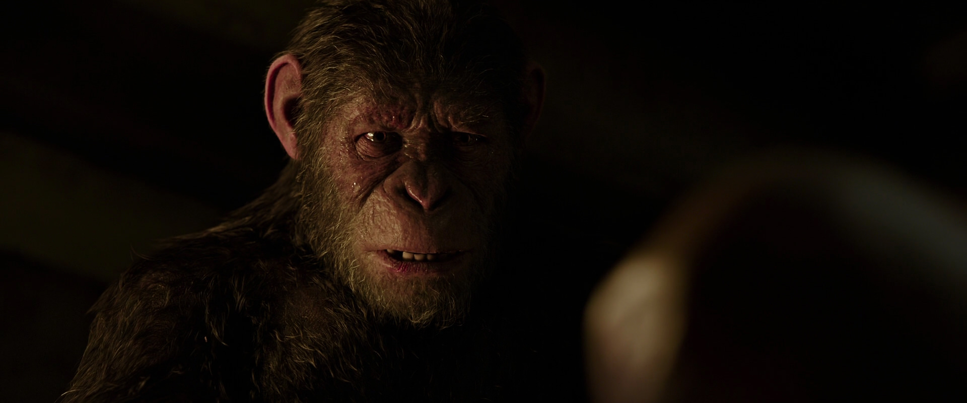 War for the Planet of the Apes (2017) HD screenshot 13790