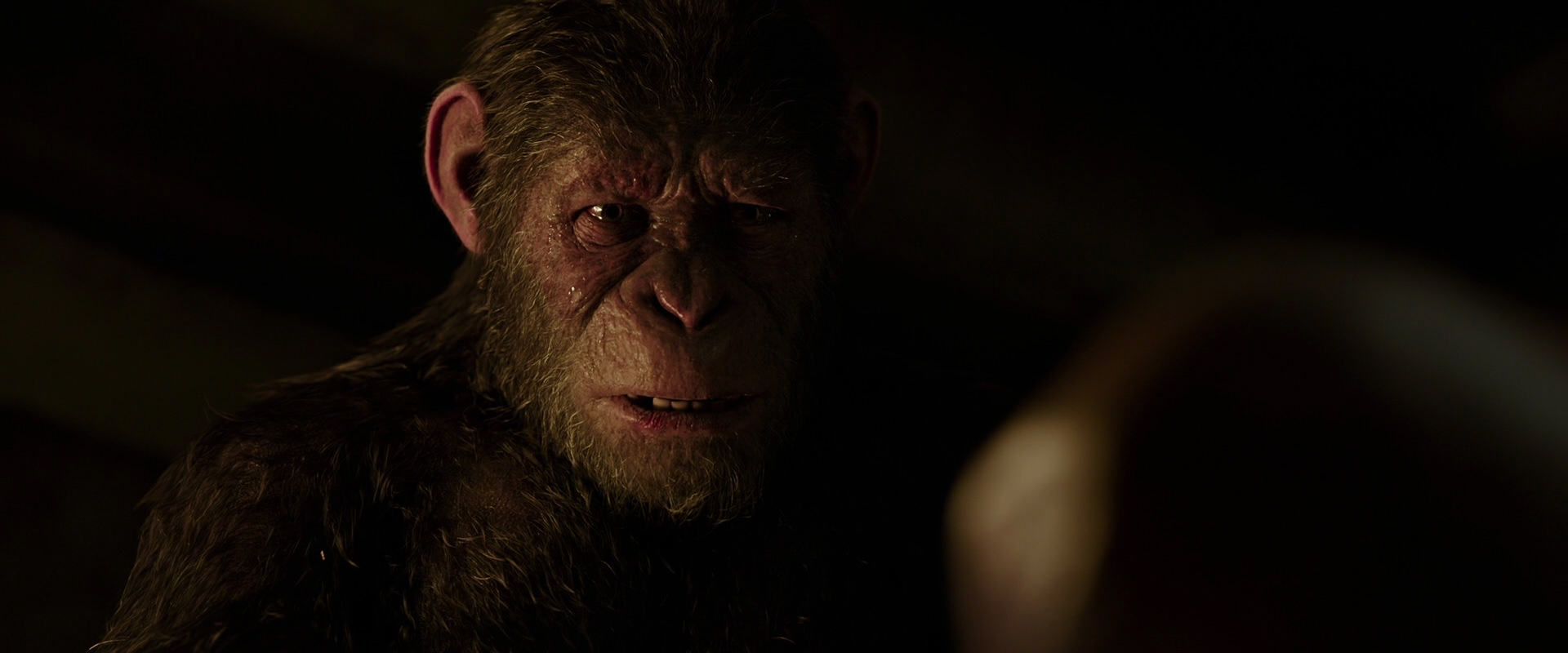 War for the Planet of the Apes (2017) screencap 13791