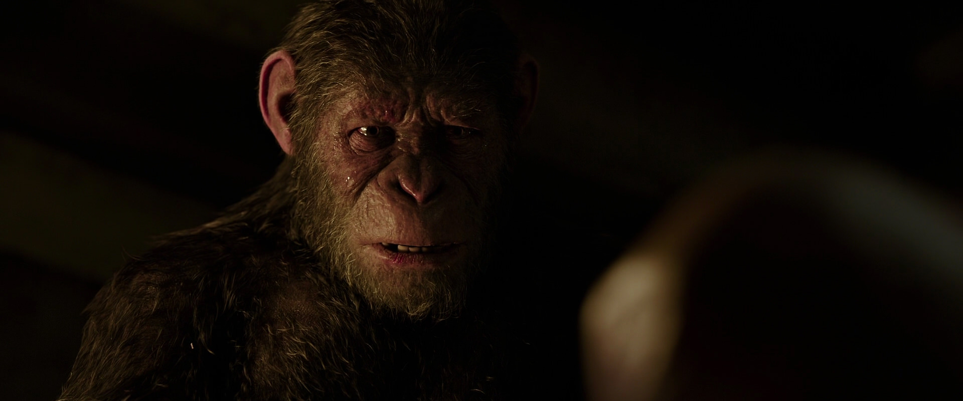 War for the Planet of the Apes (2017) movie still 13792