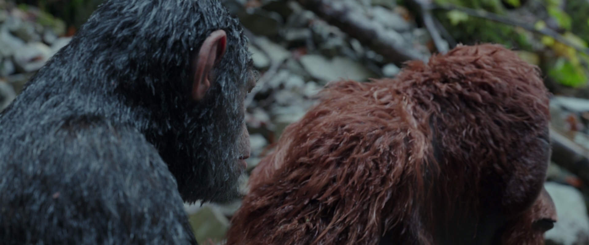 War for the Planet of the Apes (2017) screencap 1380