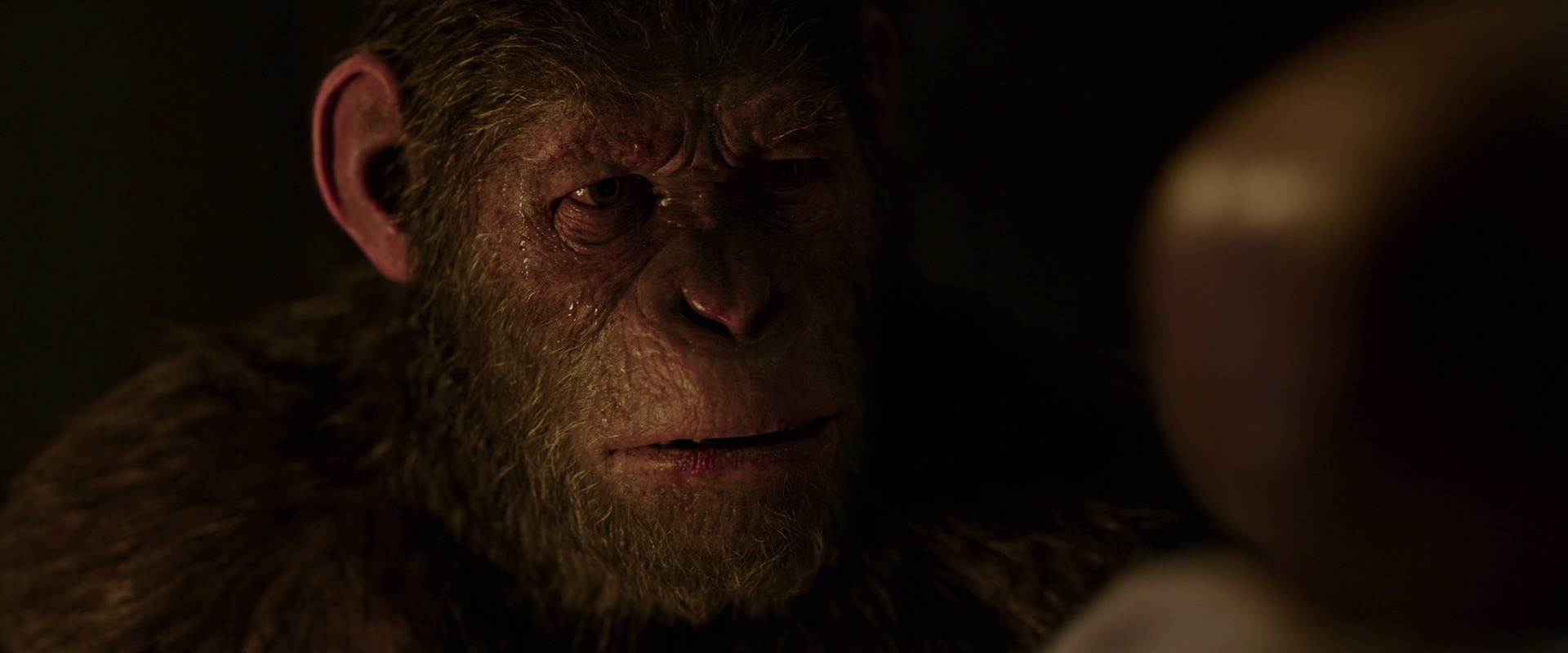 War for the Planet of the Apes (2017) screencap 13806