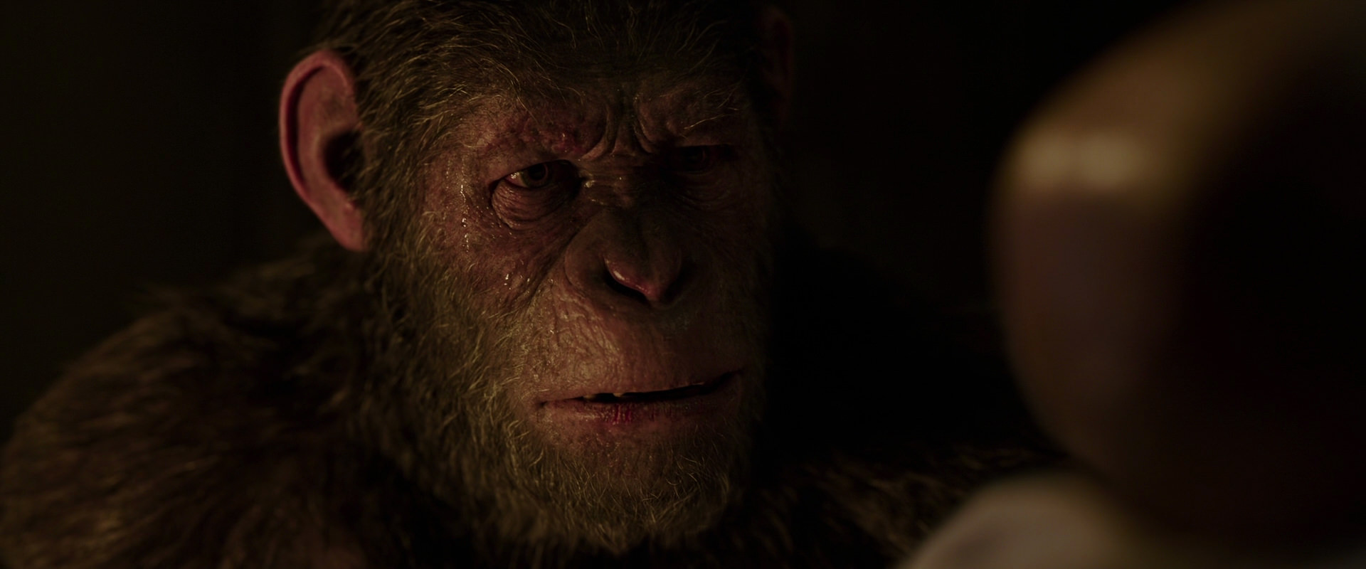War for the Planet of the Apes (2017) movie still 13807