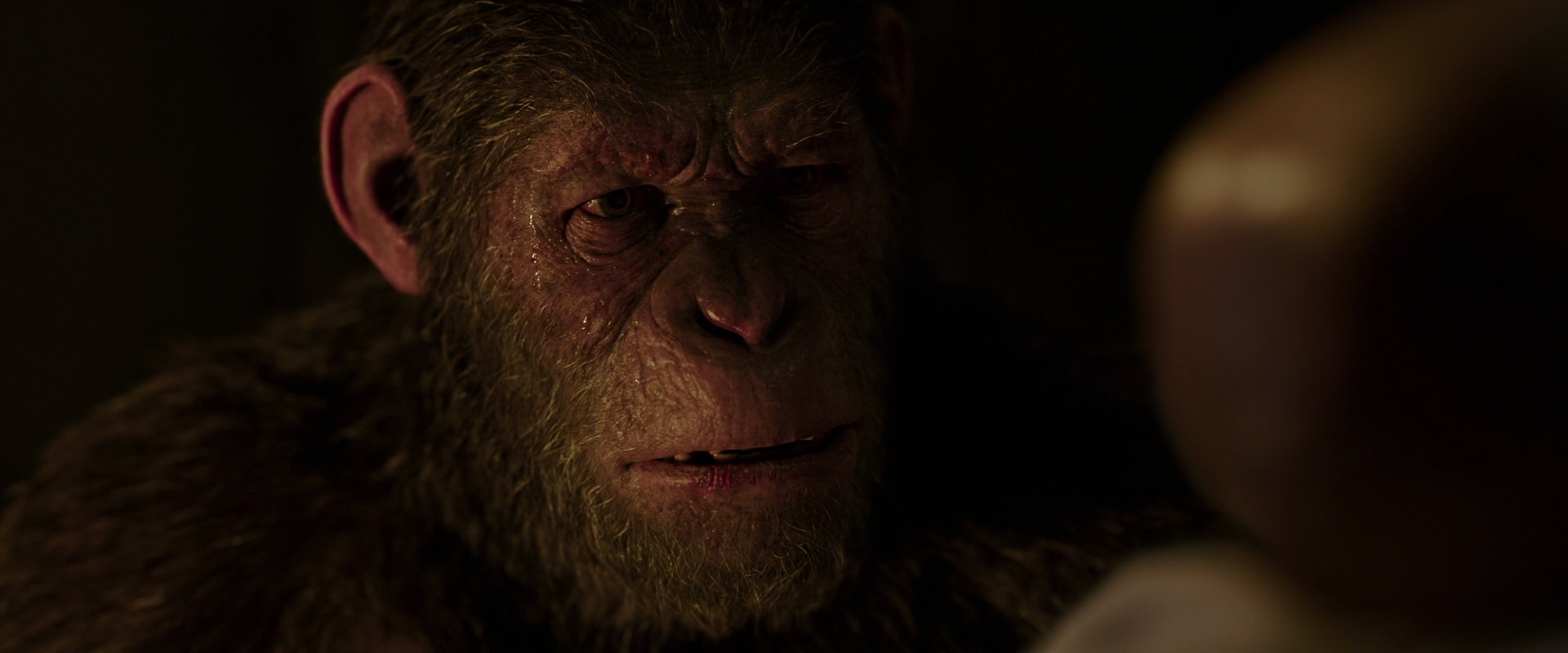 War for the Planet of the Apes (2017) HD screenshot 13808