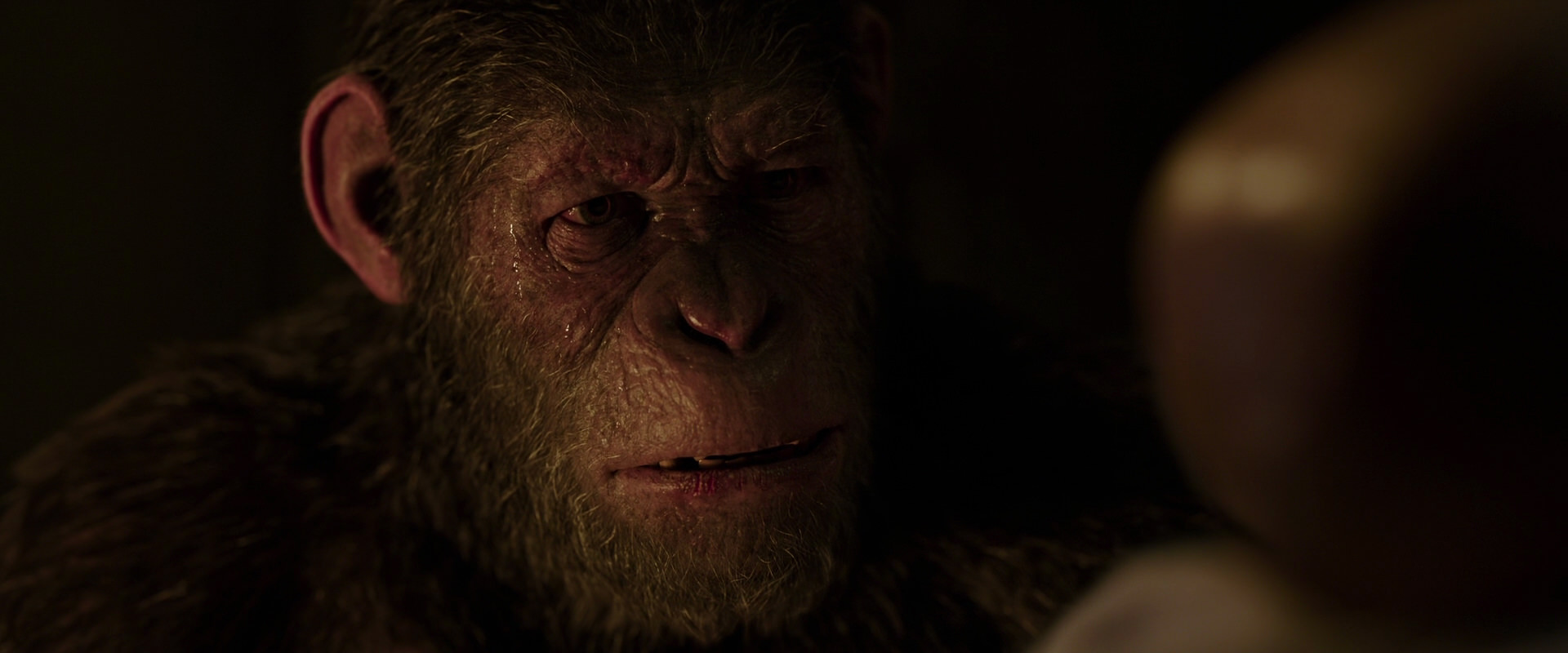 War for the Planet of the Apes (2017) screencap 13809