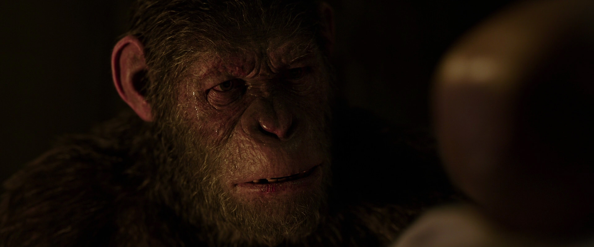 War for the Planet of the Apes (2017) movie still 13810