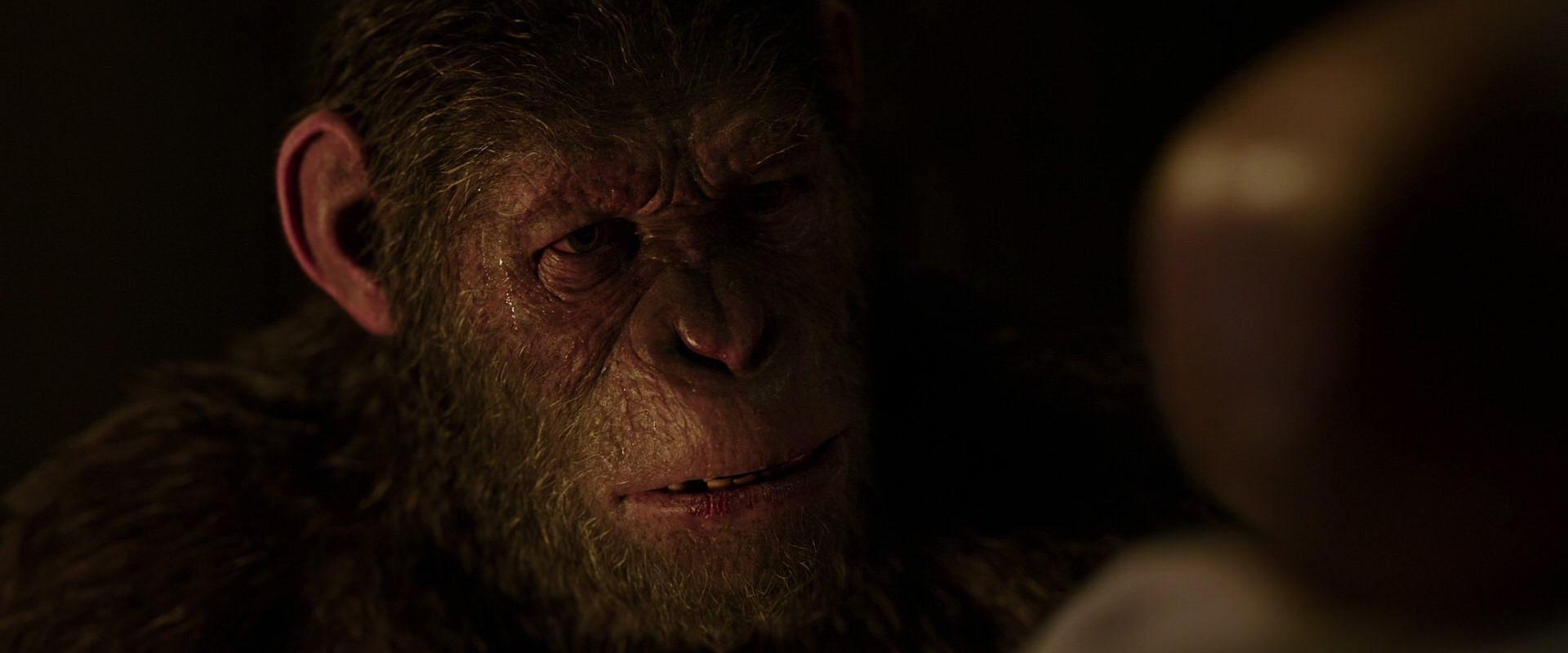 War for the Planet of the Apes (2017) HD screenshot 13811