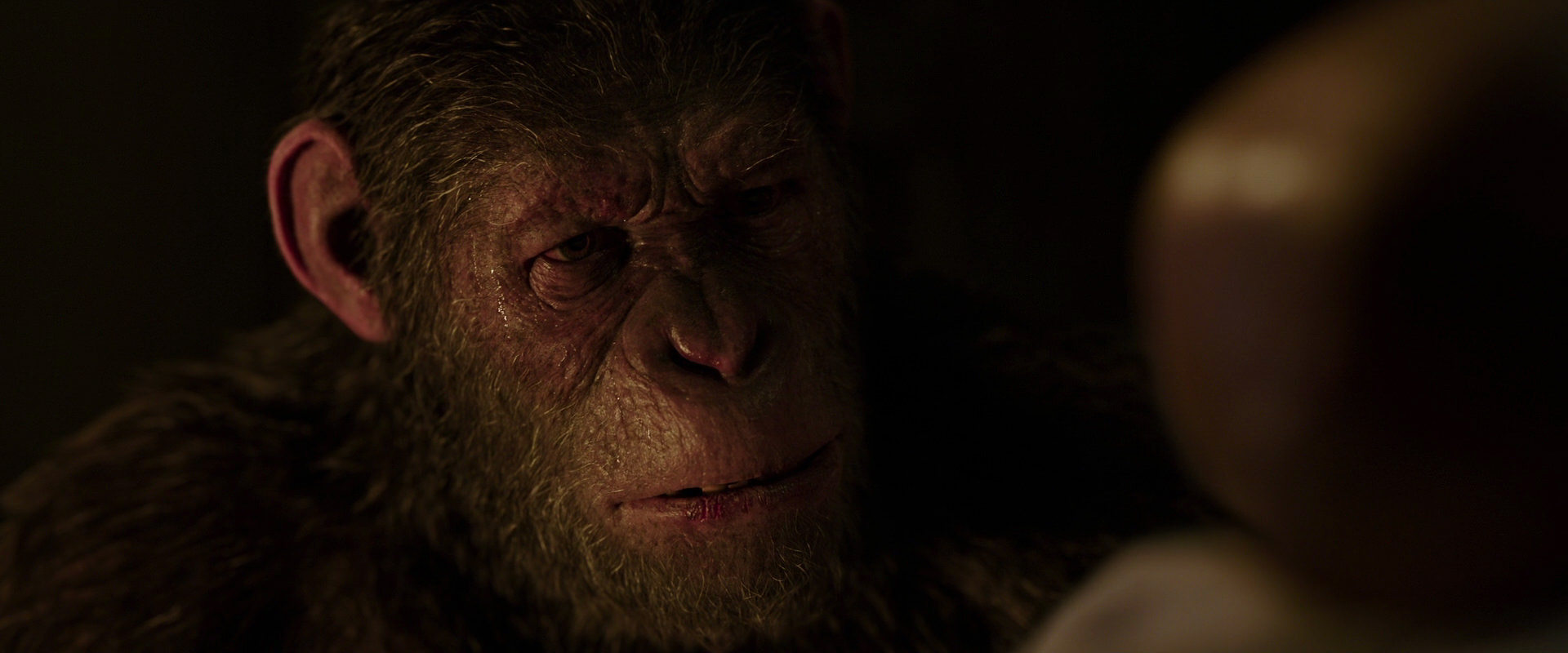 War for the Planet of the Apes (2017) screencap 13812