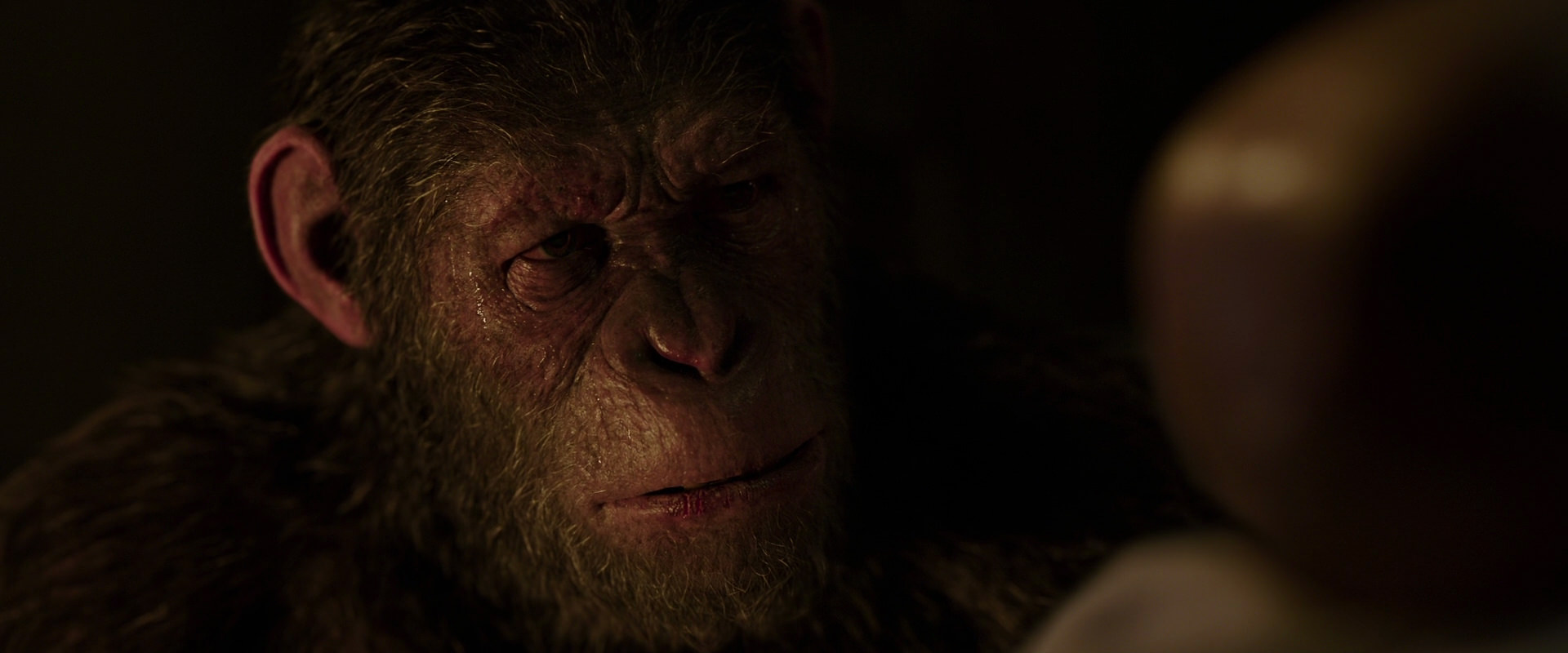 War for the Planet of the Apes (2017) movie still 13813
