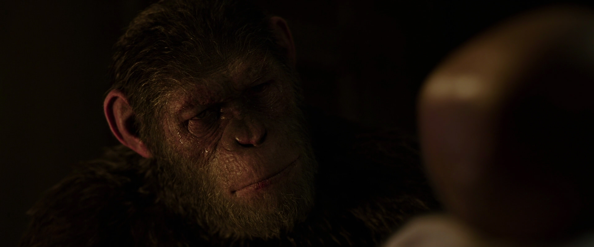 War for the Planet of the Apes (2017) movie still 13828