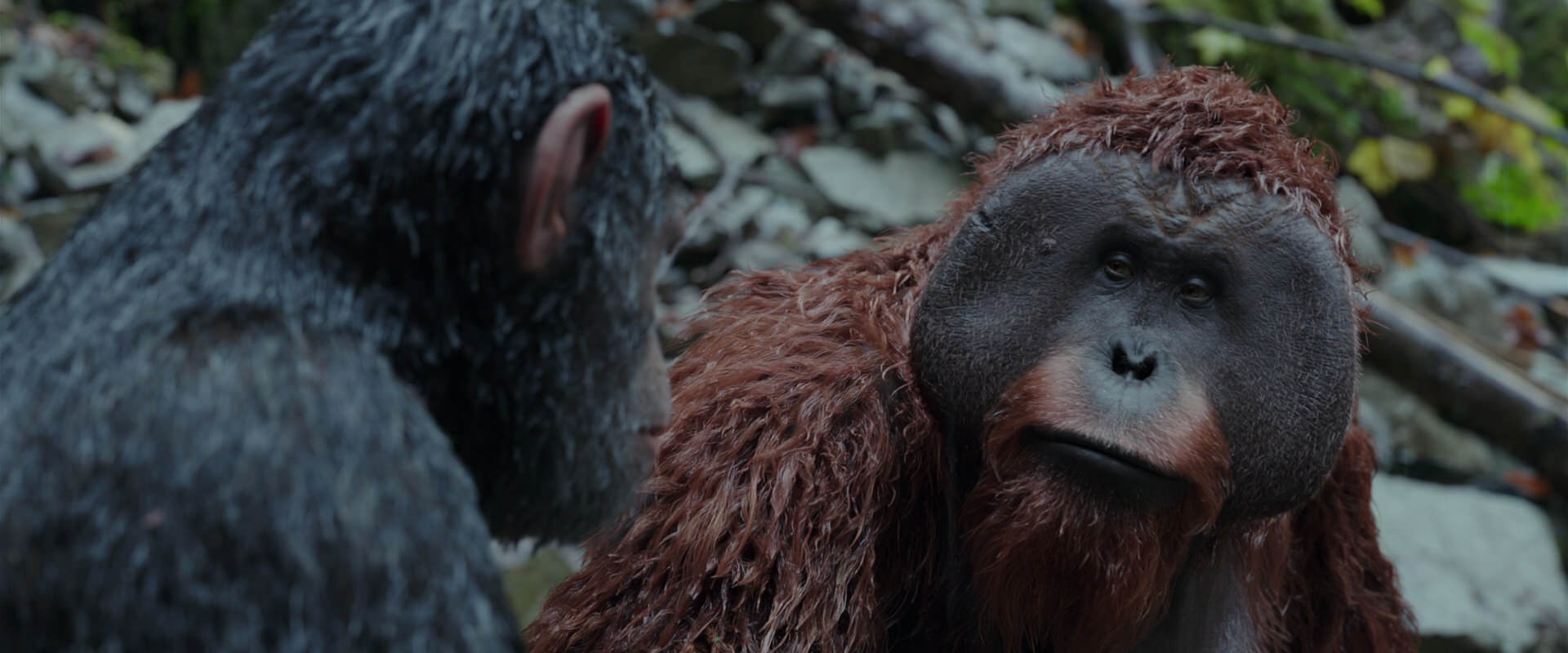War for the Planet of the Apes (2017) screencap 1383