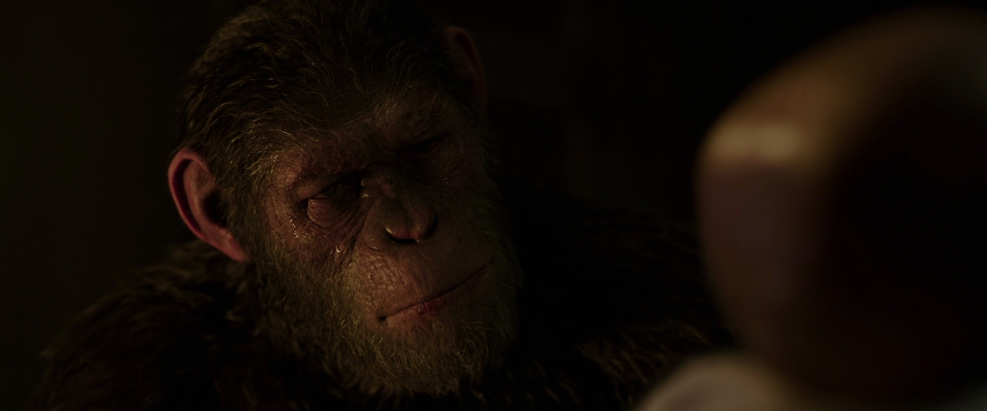 War for the Planet of the Apes (2017) movie still 13831