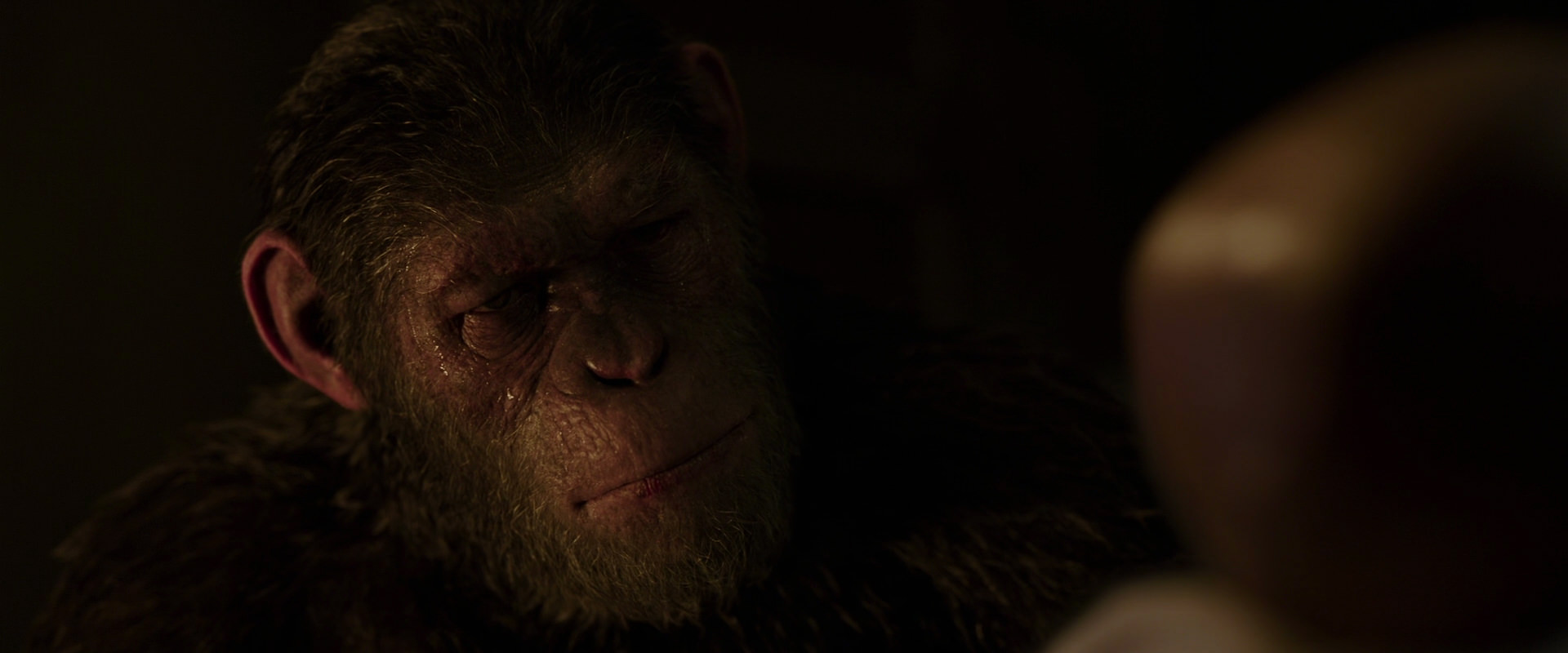 War for the Planet of the Apes (2017) screencap 13833