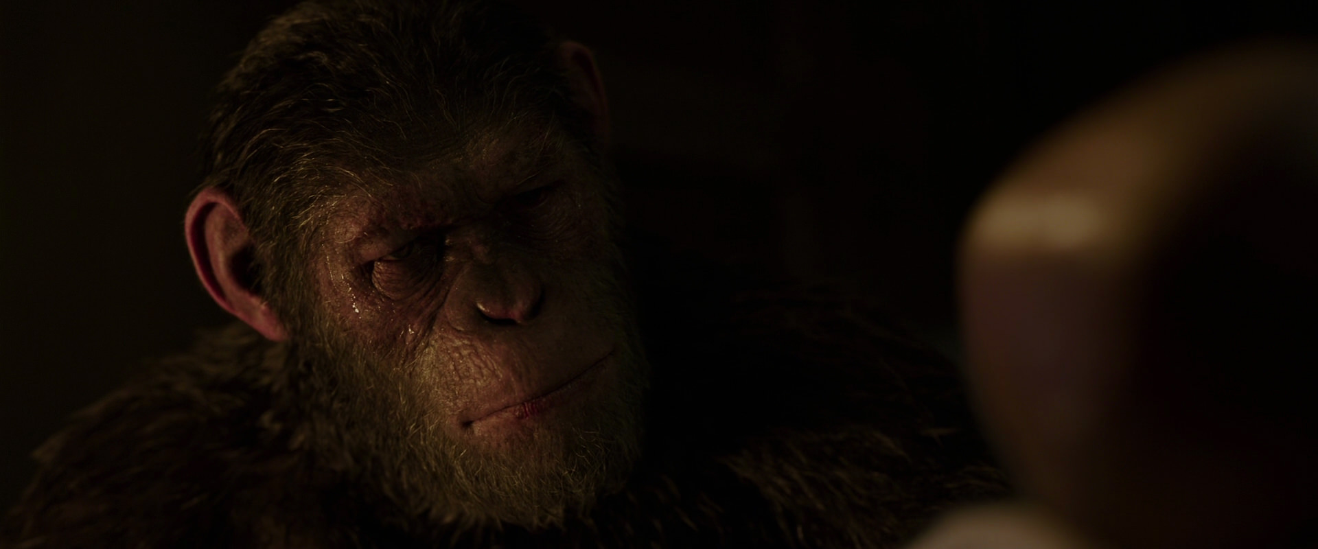 War for the Planet of the Apes (2017) movie still 13834