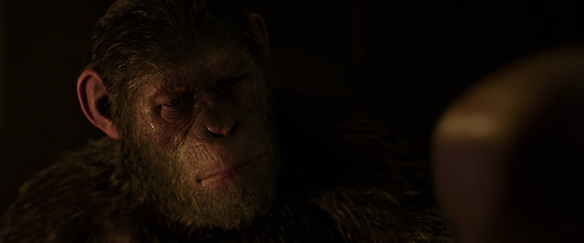 War for the Planet of the Apes (2017) screencap 13836