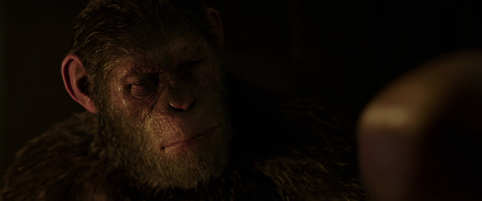 War for the Planet of the Apes (2017) movie still 13837