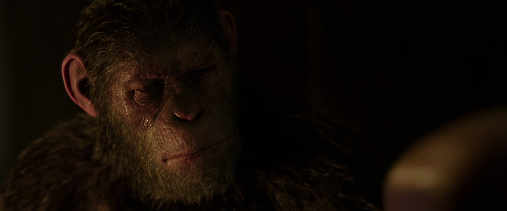 War for the Planet of the Apes (2017) screencap 13839