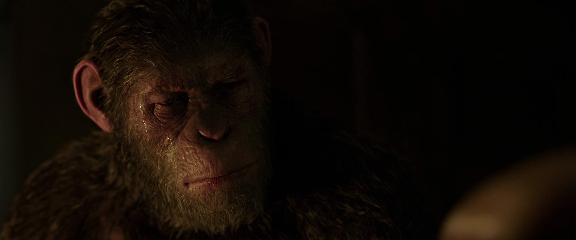 War for the Planet of the Apes (2017) movie still 13840