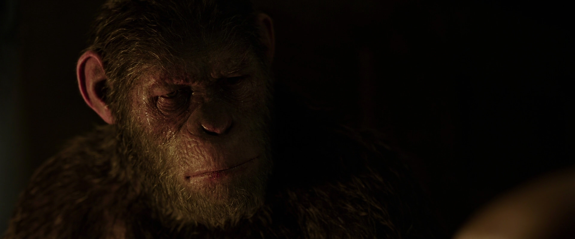 War for the Planet of the Apes (2017) HD screenshot 13841