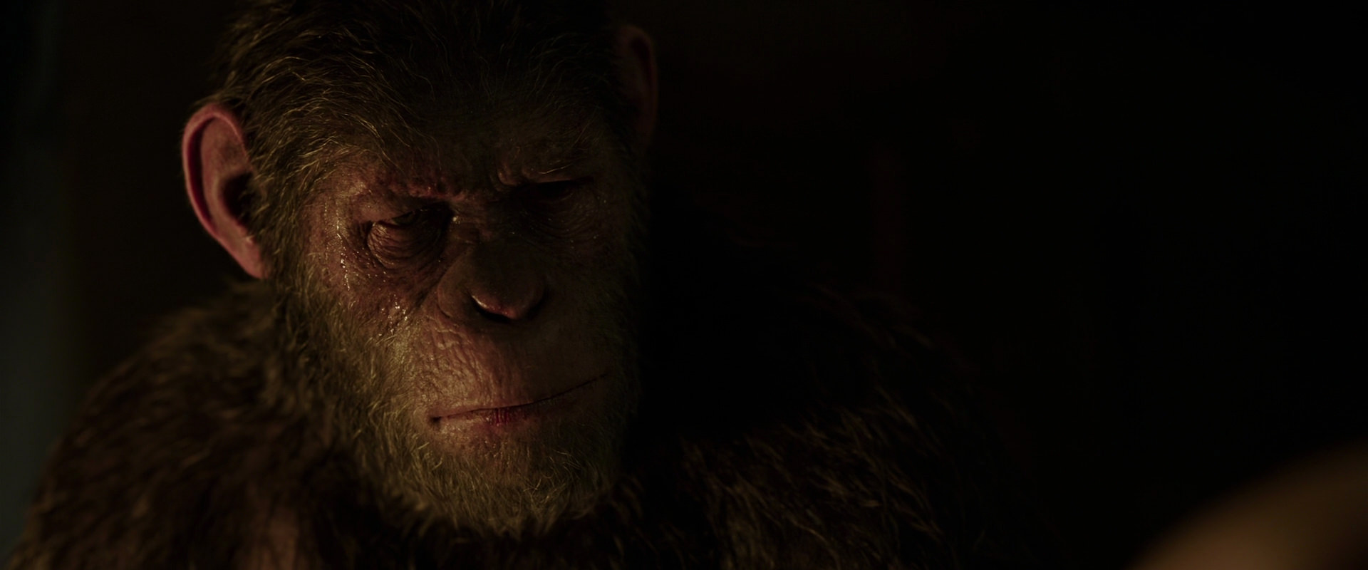 War for the Planet of the Apes (2017) screencap 13842