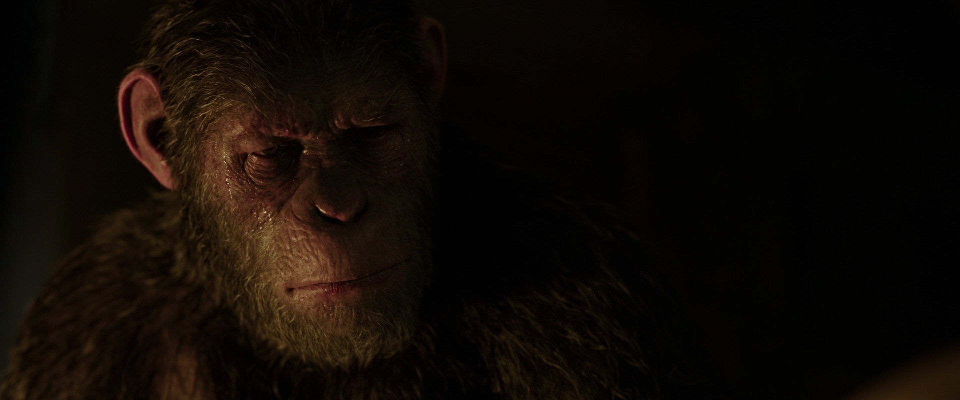 War for the Planet of the Apes (2017) movie still 13843