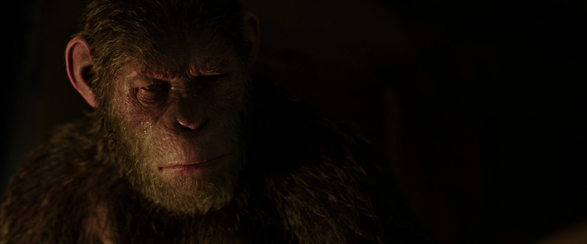 War for the Planet of the Apes (2017) HD screenshot 13844