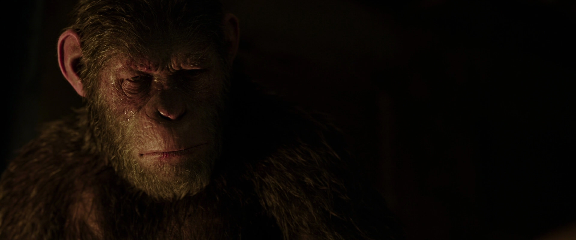 War for the Planet of the Apes (2017) screencap 13845