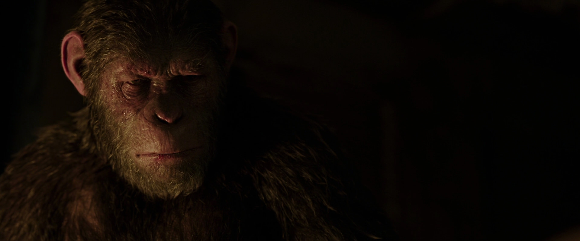 War for the Planet of the Apes (2017) movie still 13846