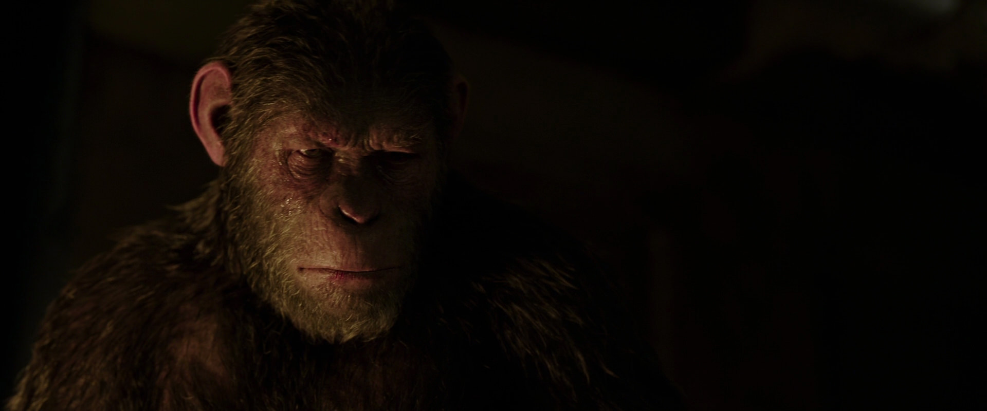 War for the Planet of the Apes (2017) screencap 13848