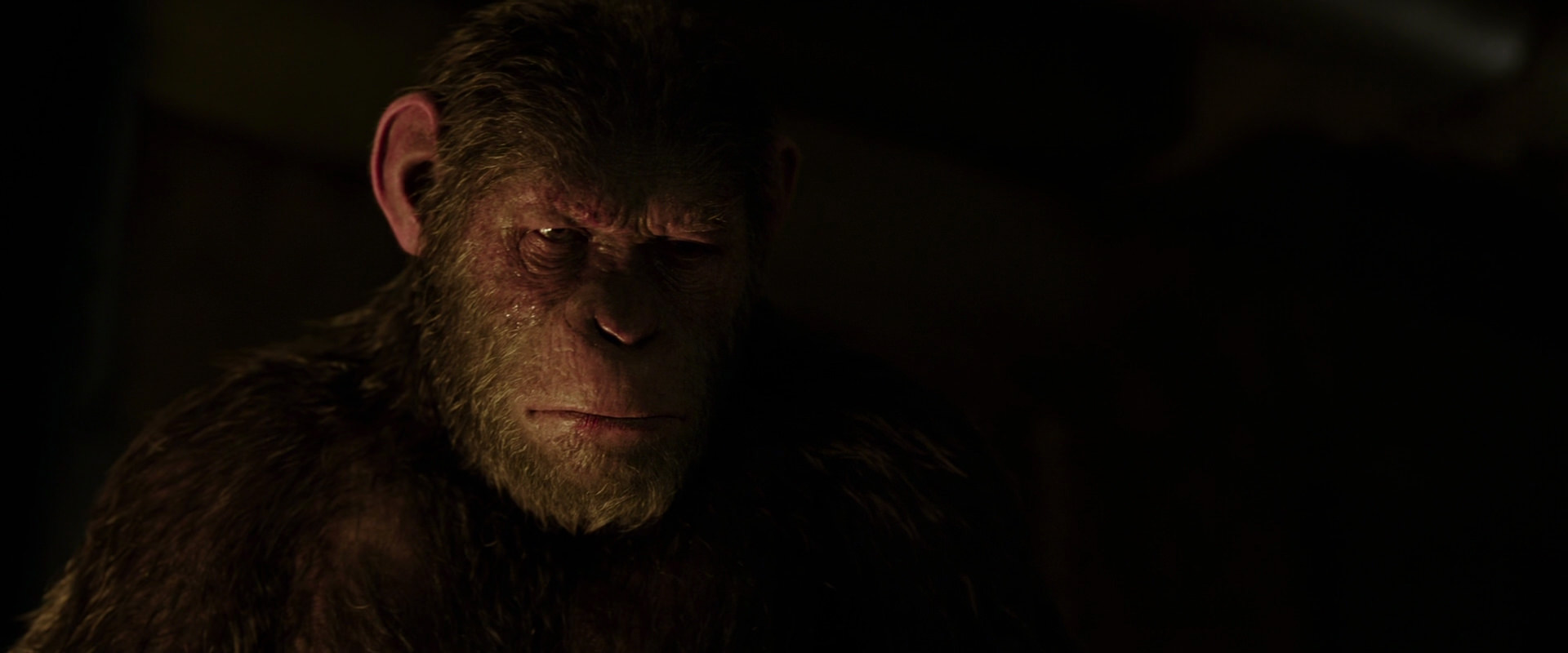 War for the Planet of the Apes (2017) movie still 13849