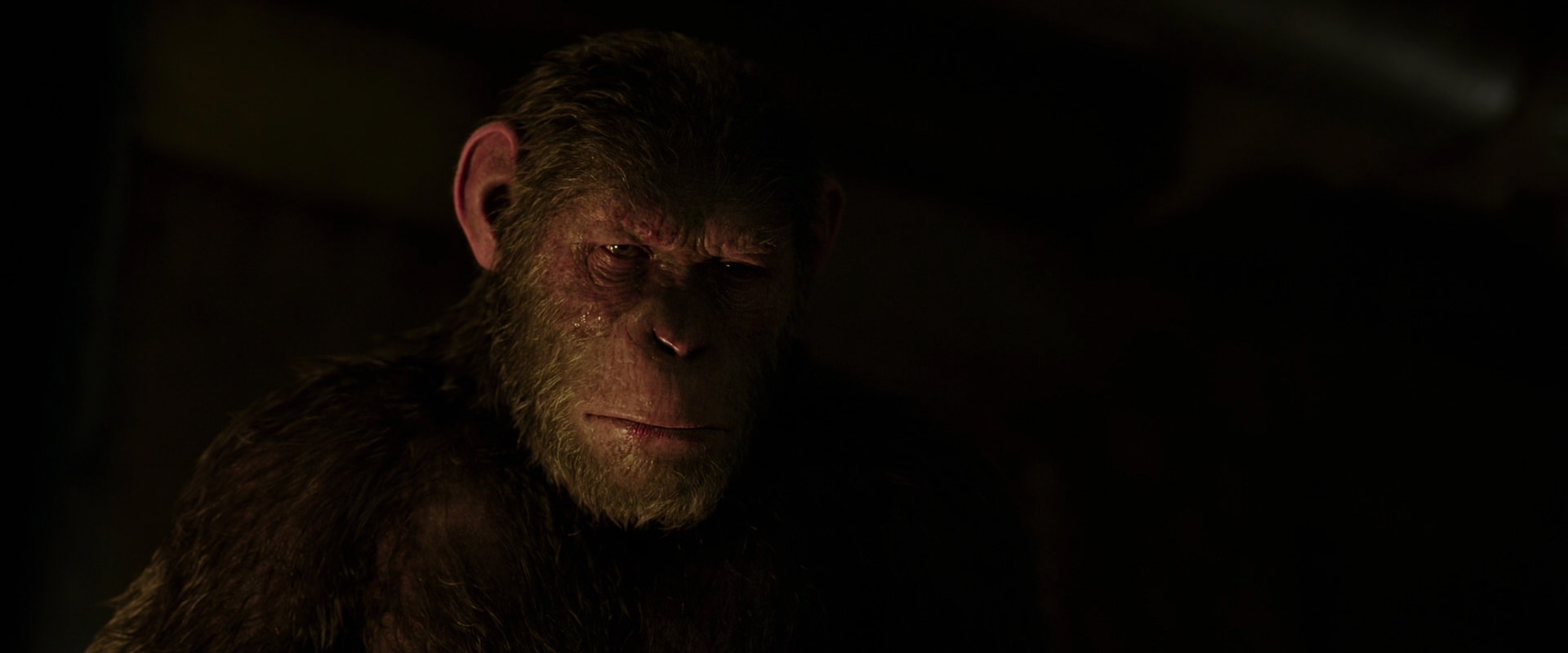 War for the Planet of the Apes (2017) screencap 13851