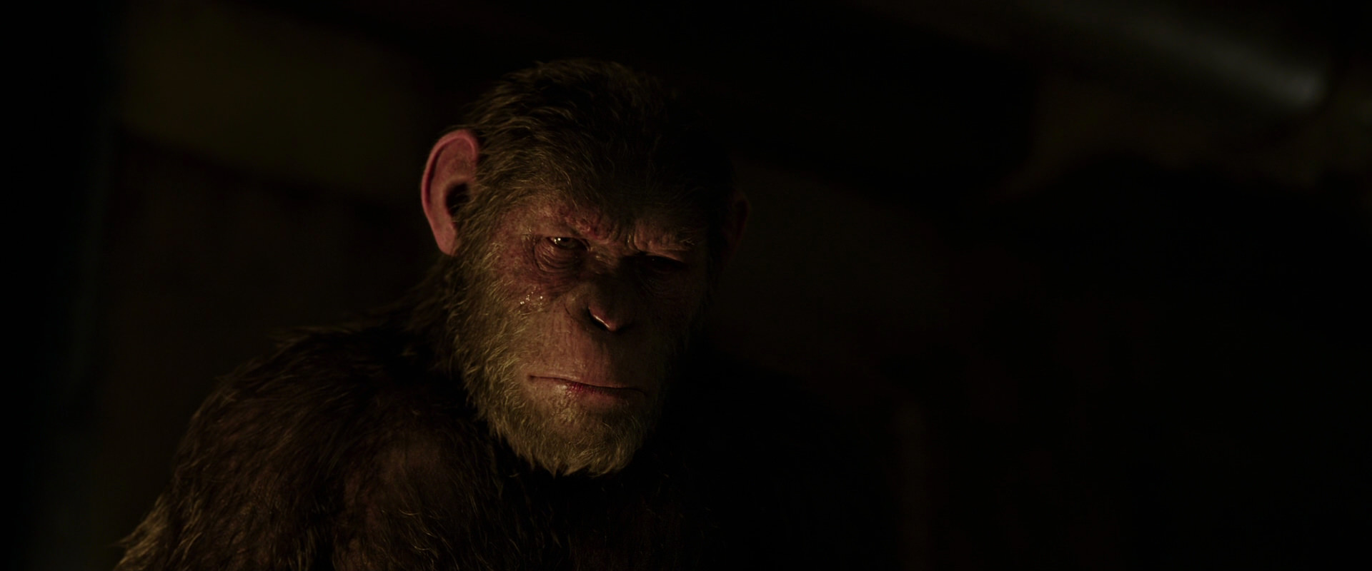 War for the Planet of the Apes (2017) movie still 13852