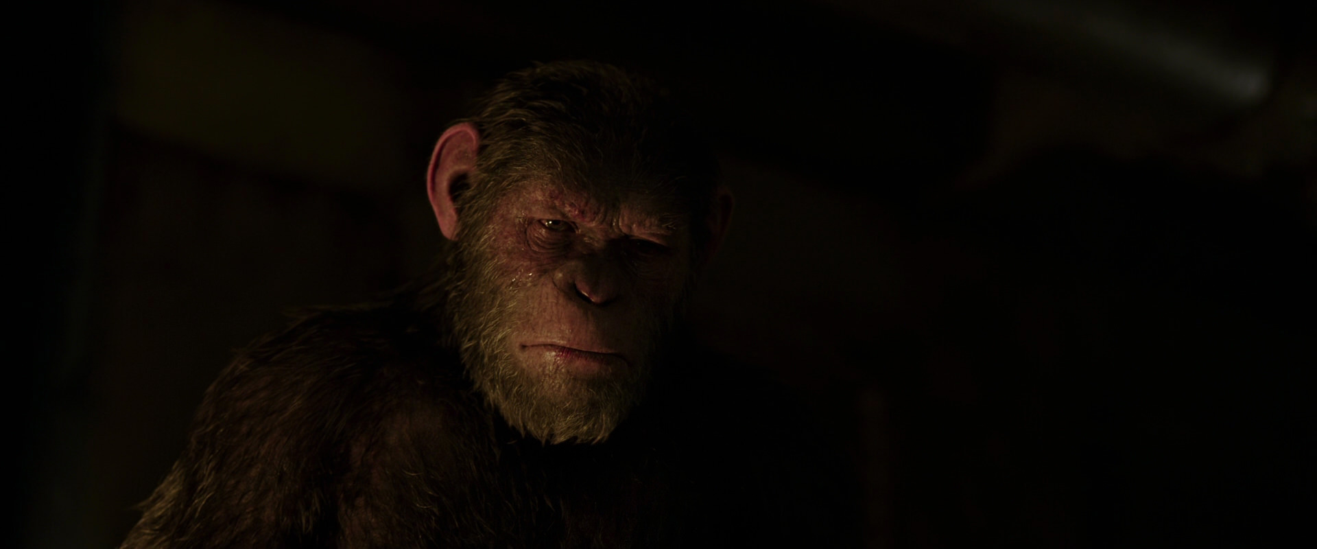 War for the Planet of the Apes (2017) HD screenshot 13853